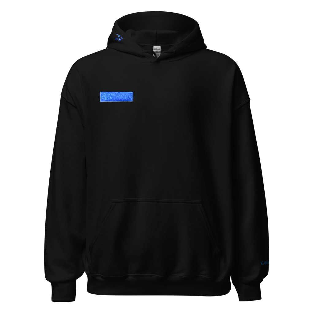 WinterFalls Blueline Hoodie